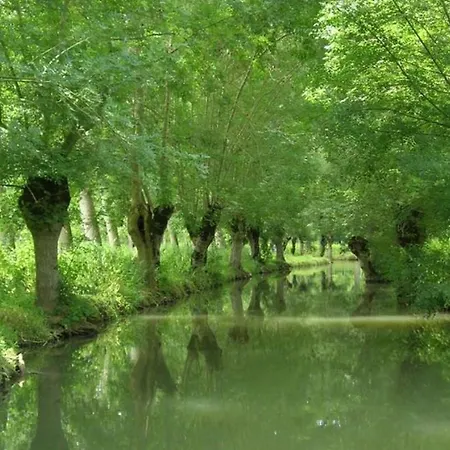 Mobil-home Cosy Avec Terrasse A - Api-1-52-1341 * Puyravault (Vendee)