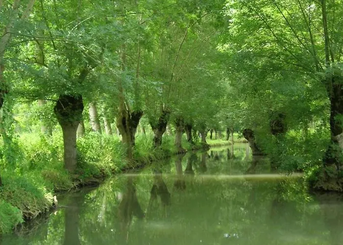 Mobil-home Cosy Avec Terrasse A - Api-1-52-1341 * Puyravault (Vendee)